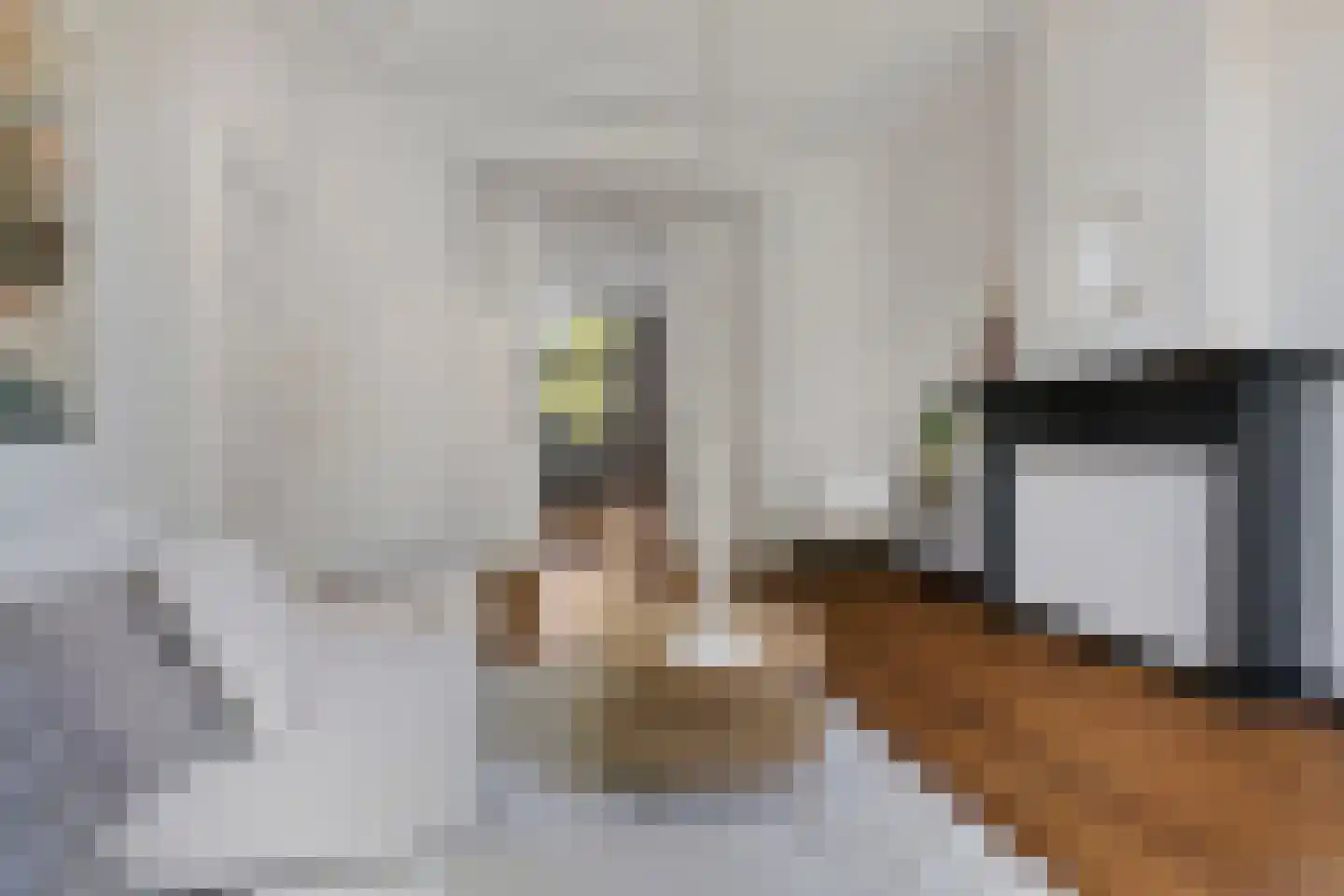 van Oldenbarneveltstraat 15 Nijmegen thumbnail 7