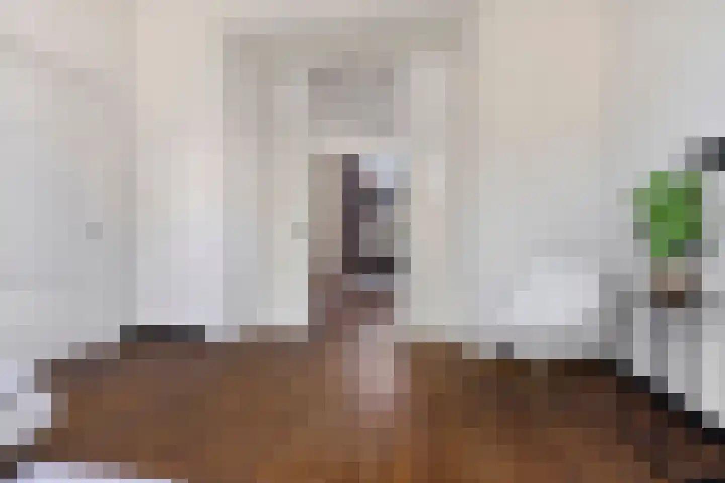 van Oldenbarneveltstraat 15 Nijmegen thumbnail 9
