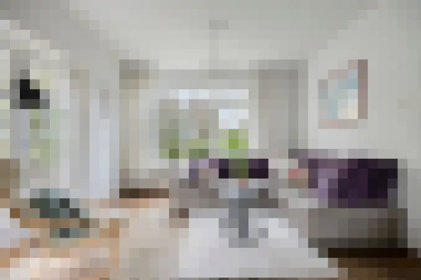 Van Oldenbarneveltstraat 17 Nijkerk thumbnail 10