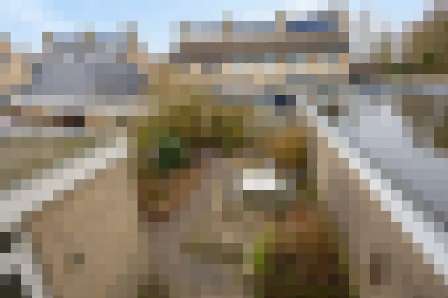 Van Oldenbarneveltstraat 17 Nijkerk thumbnail 26