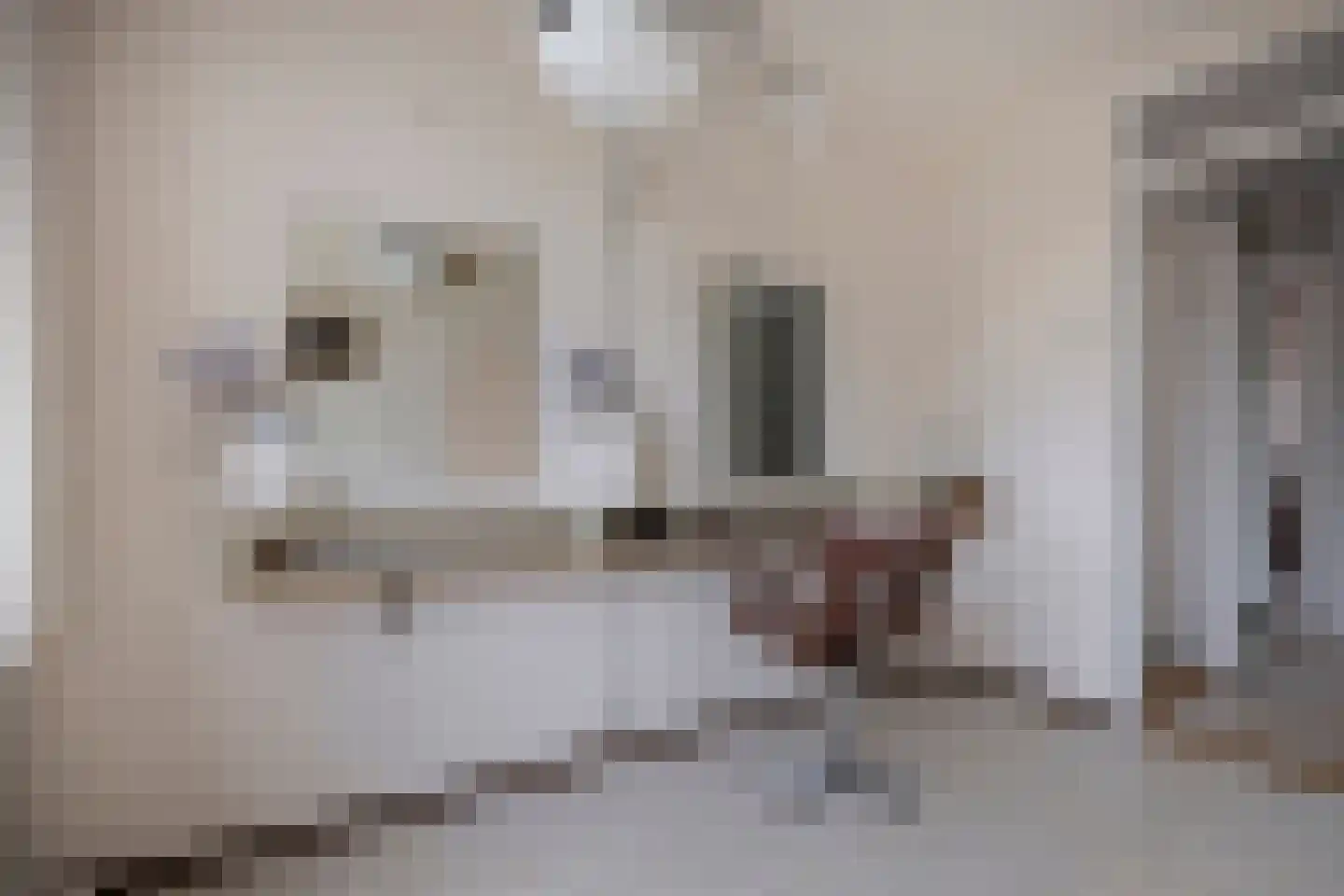 Van Oldenbarneveltstraat 17 Nijkerk thumbnail 28
