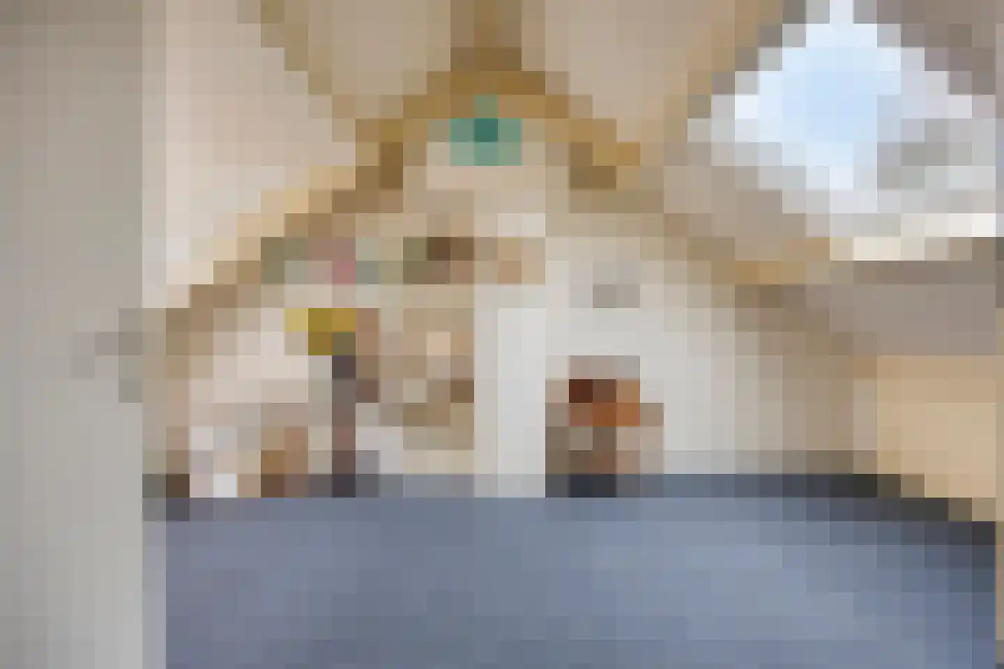 Van Oldenbarneveltstraat 17 Nijkerk thumbnail 29