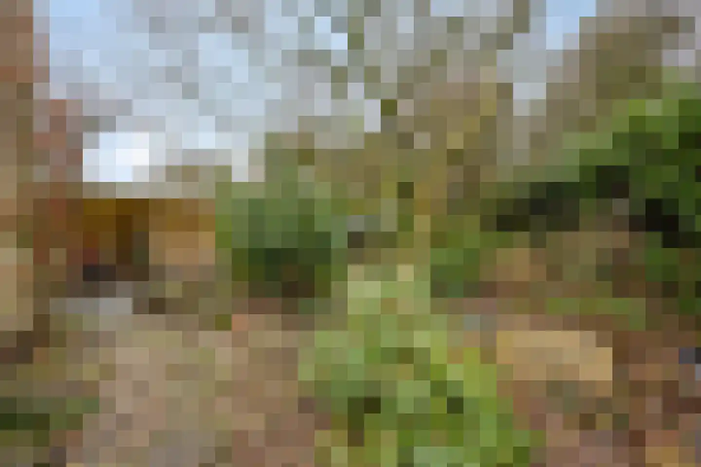 Van Oldenbarneveltstraat 17 Nijkerk thumbnail 32