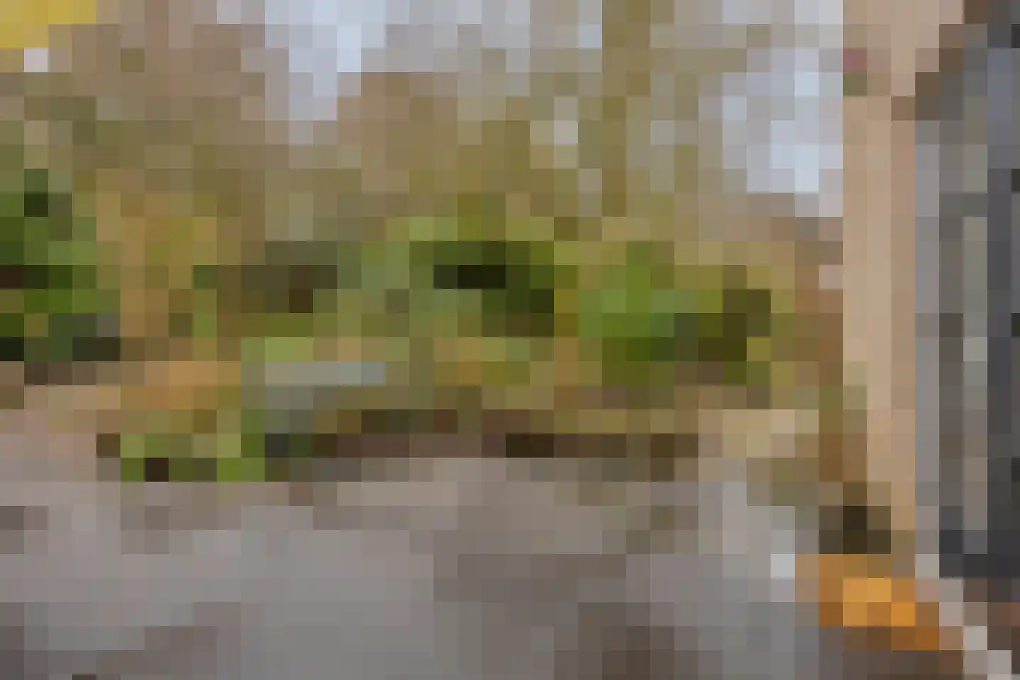Van Oldenbarneveltstraat 17 Nijkerk thumbnail 34