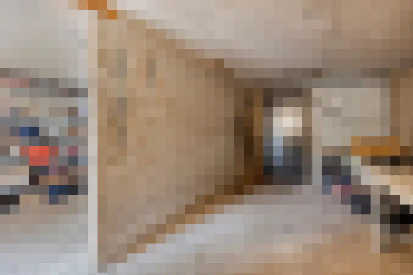 Van Oldenbarneveltstraat 17 Nijkerk thumbnail 40