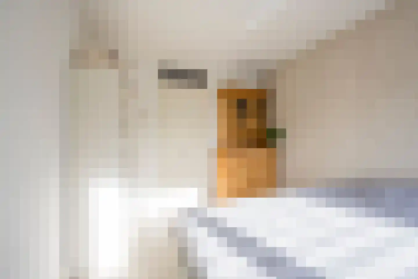 Van Oldenbarneveltstraat 18 Nijkerk thumbnail 20