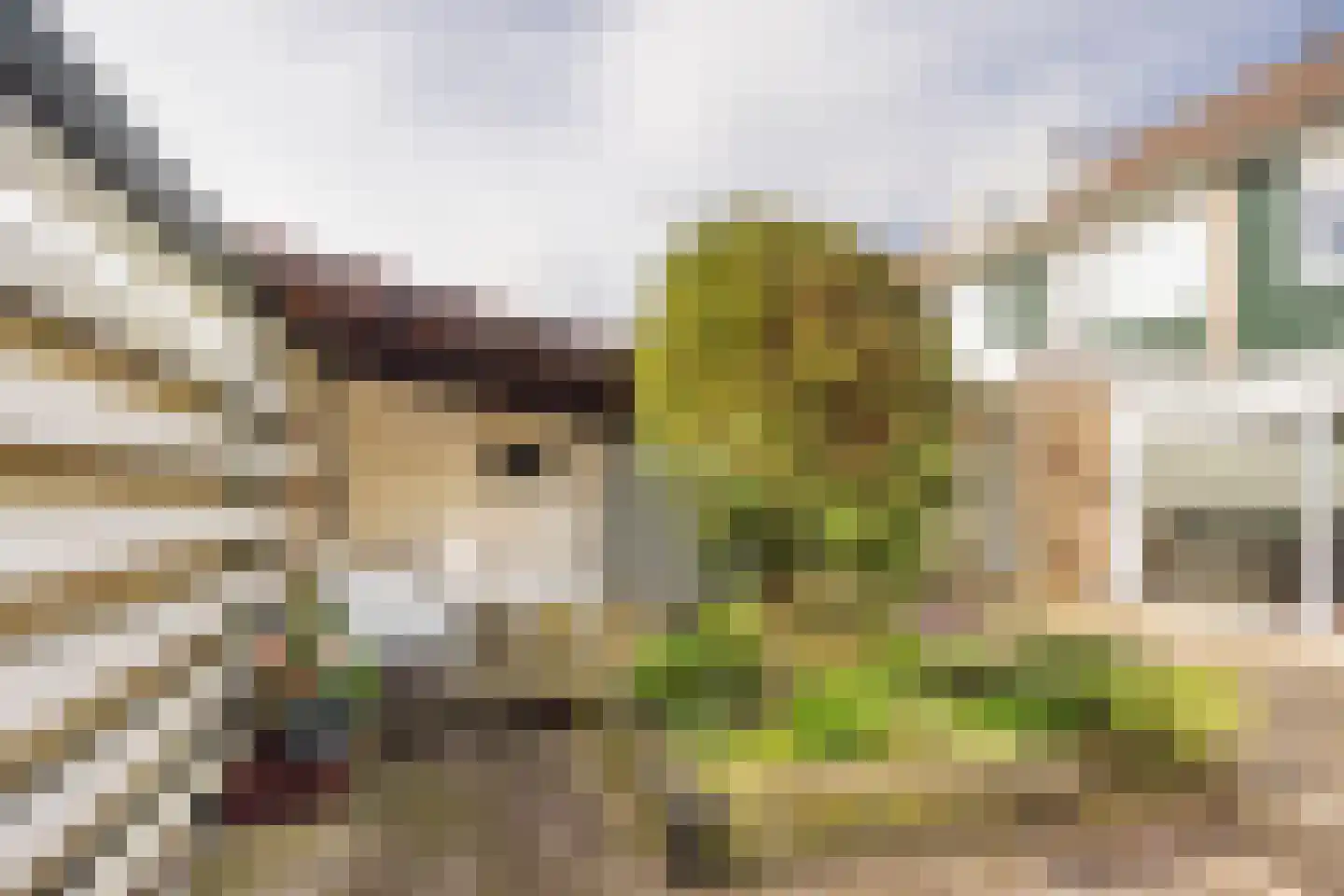 Van Oldenbarneveltstraat 18 Nijkerk thumbnail 36