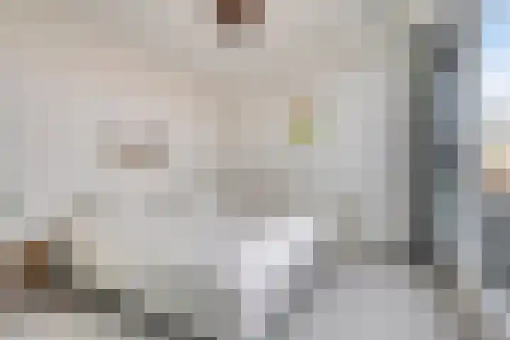 Van Oldenbarneveltstraat 19 Breda thumbnail 20
