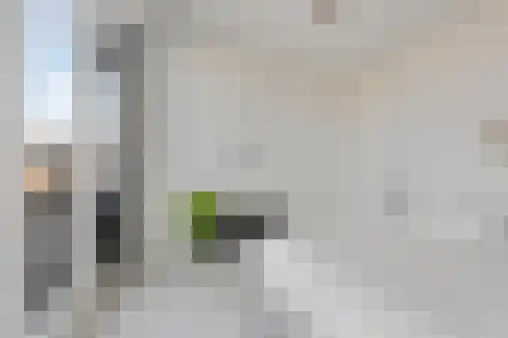 Van Oldenbarneveltstraat 19 Breda thumbnail 21