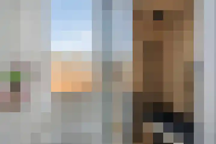 Van Oldenbarneveltstraat 19 Breda thumbnail 25