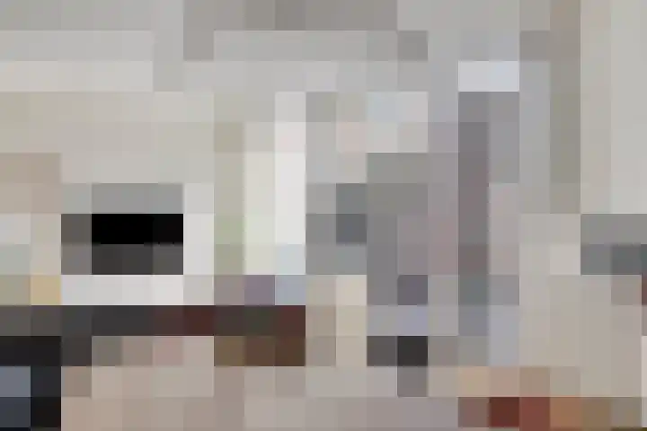 Van Oldenbarneveltstraat 19 Breda thumbnail 4