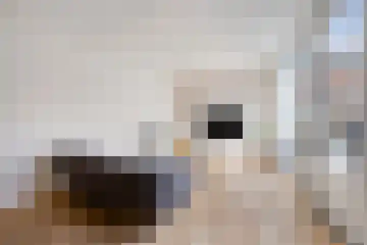 Van Oldenbarneveltstraat 19 Breda thumbnail 6