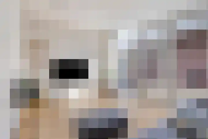 Van Oldenbarneveltstraat 19 Breda thumbnail 7