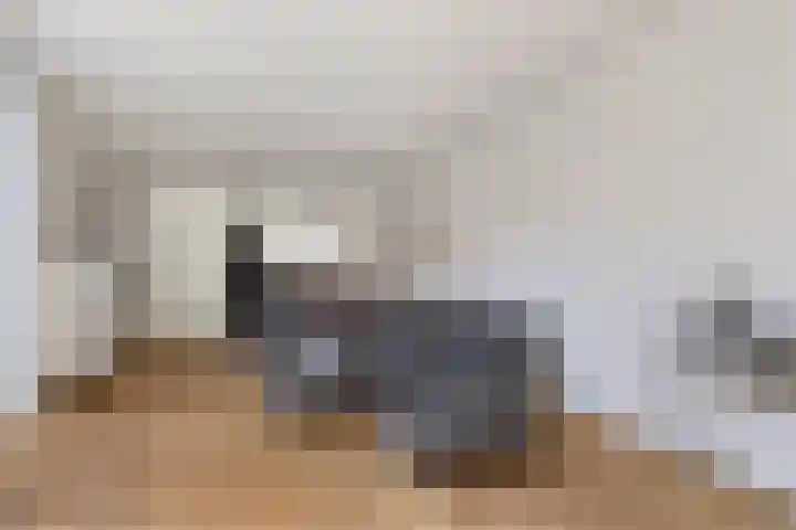 Van Oldenbarneveltstraat 19 Breda thumbnail 9