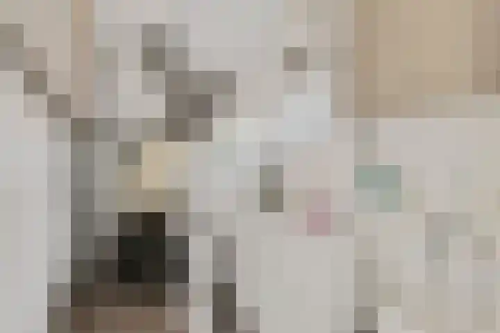Van Oldenbarneveltstraat 20 Breda thumbnail 27