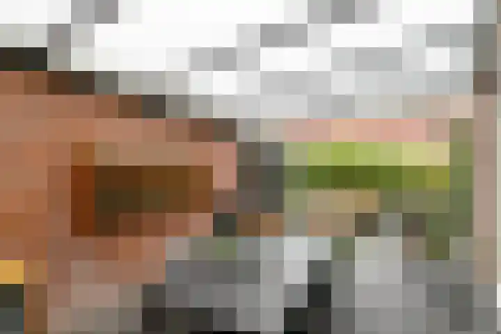 Van Oldenbarneveltstraat 20 Breda thumbnail 30