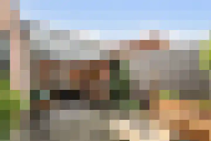 Van Oldenbarneveltstraat 20 Breda thumbnail 33