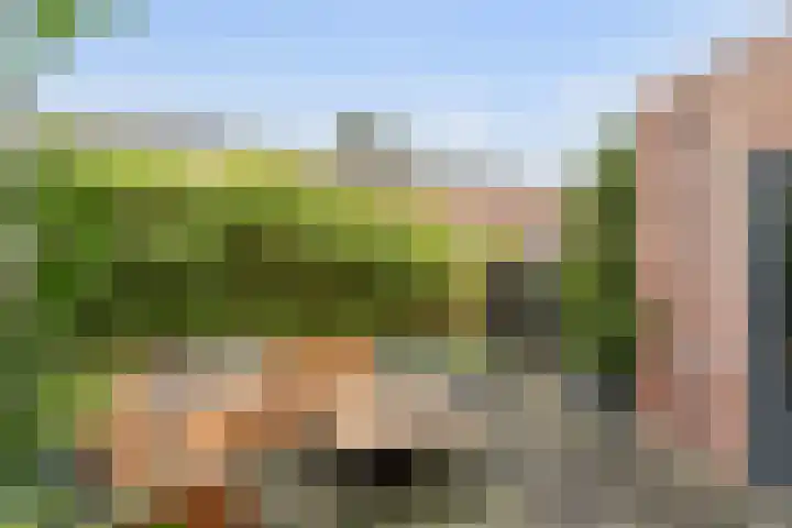 Van Oldenbarneveltstraat 20 Breda thumbnail 35