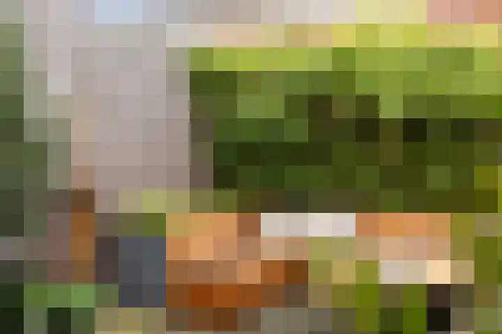 Van Oldenbarneveltstraat 20 Breda thumbnail 36