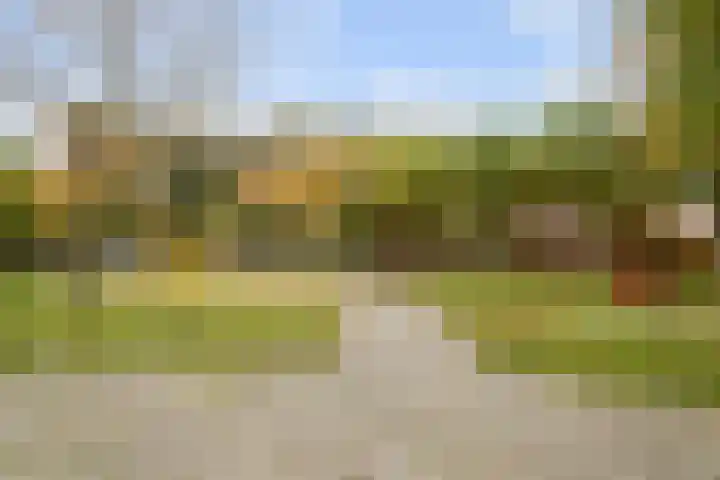 Van Oldenbarneveltstraat 20 Breda thumbnail 37
