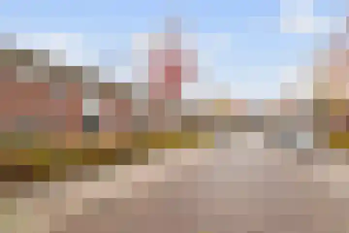 Van Oldenbarneveltstraat 20 Breda thumbnail 39