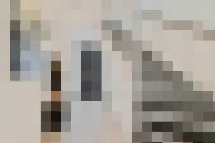 Van Oldenbarneveltstraat 20 Breda thumbnail 5