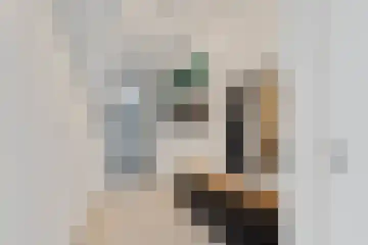 Van Oldenbarneveltstraat 20 Breda thumbnail 6