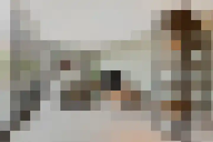 Van Oldenbarneveltstraat 20 Breda thumbnail 7