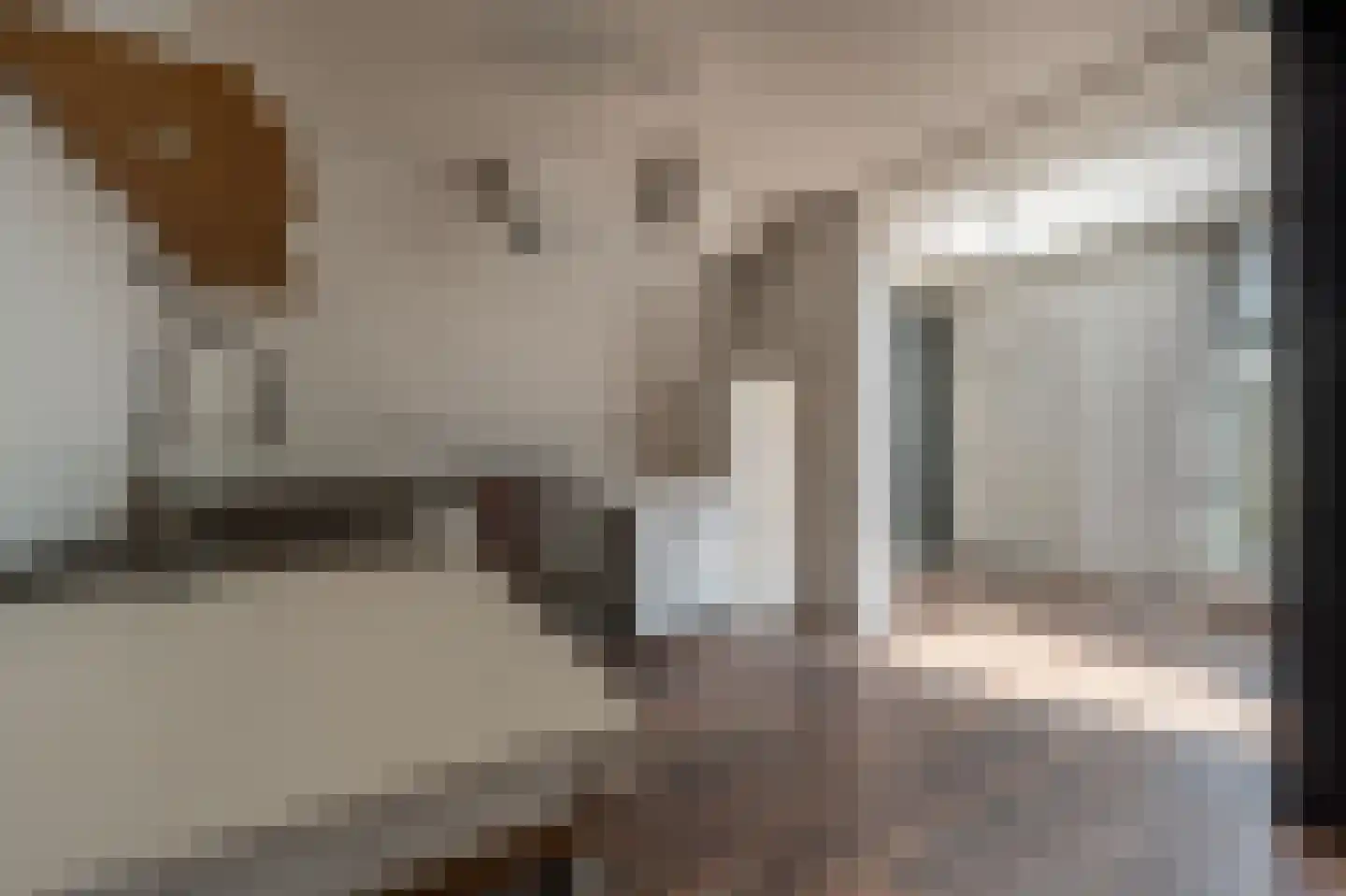 van Oldenbarneveltstraat 24 Zuid-Beijerland thumbnail 11