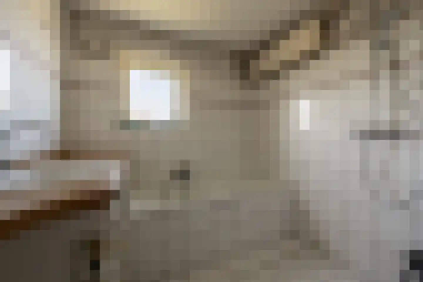 van Oldenbarneveltstraat 24 Zuid-Beijerland thumbnail 25