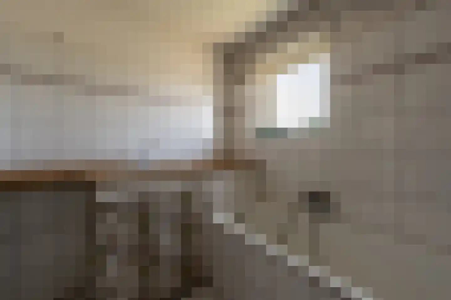 van Oldenbarneveltstraat 24 Zuid-Beijerland thumbnail 26