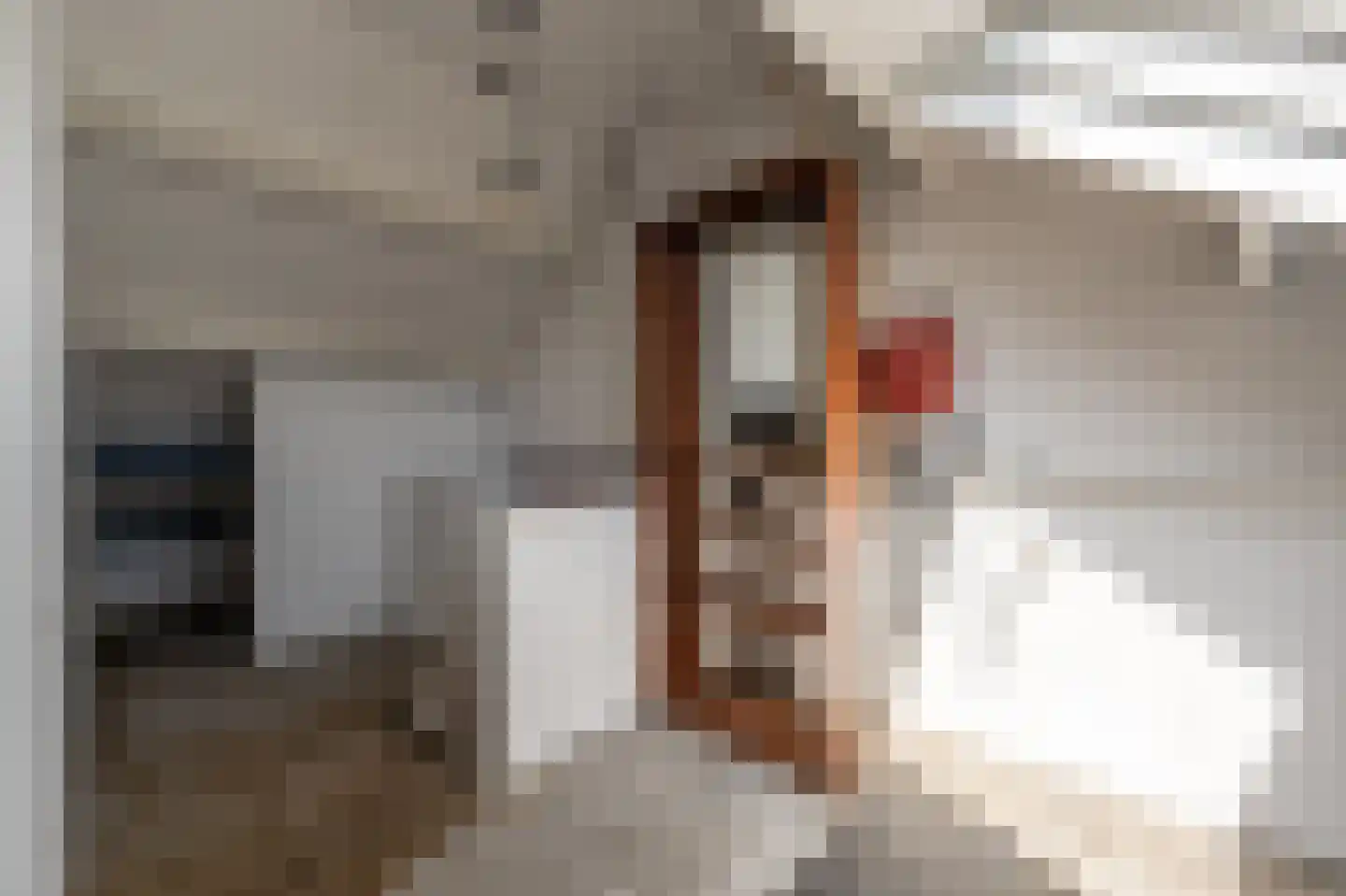 van Oldenbarneveltstraat 24 Zuid-Beijerland thumbnail 28