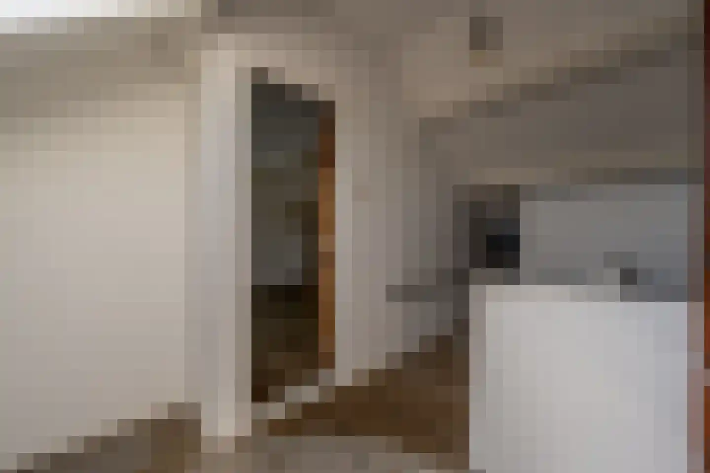 van Oldenbarneveltstraat 24 Zuid-Beijerland thumbnail 29