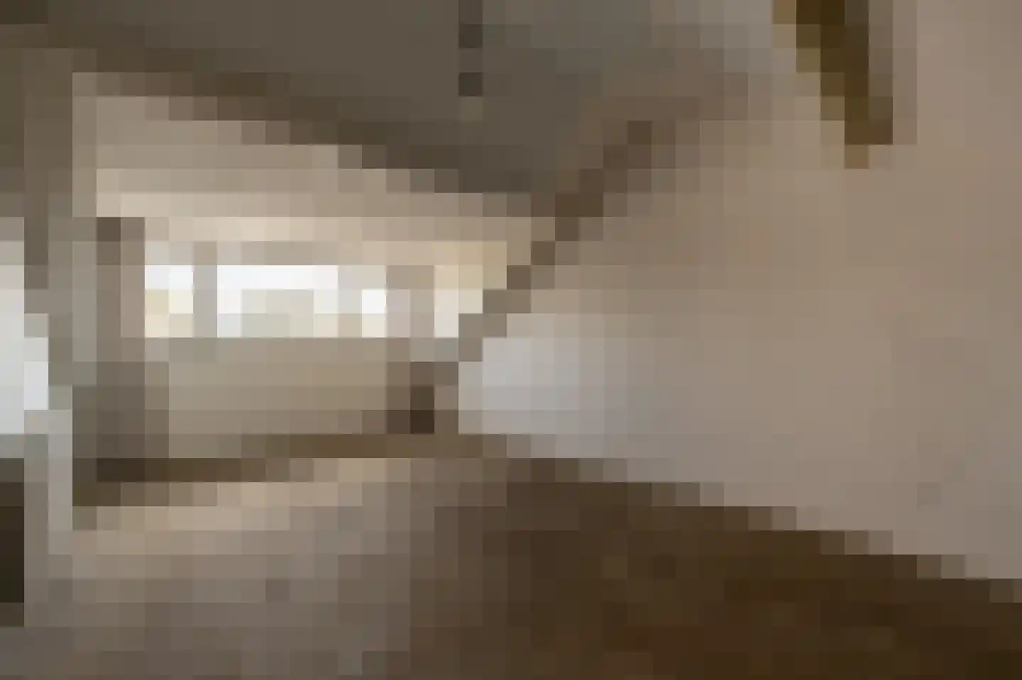 van Oldenbarneveltstraat 24 Zuid-Beijerland thumbnail 31