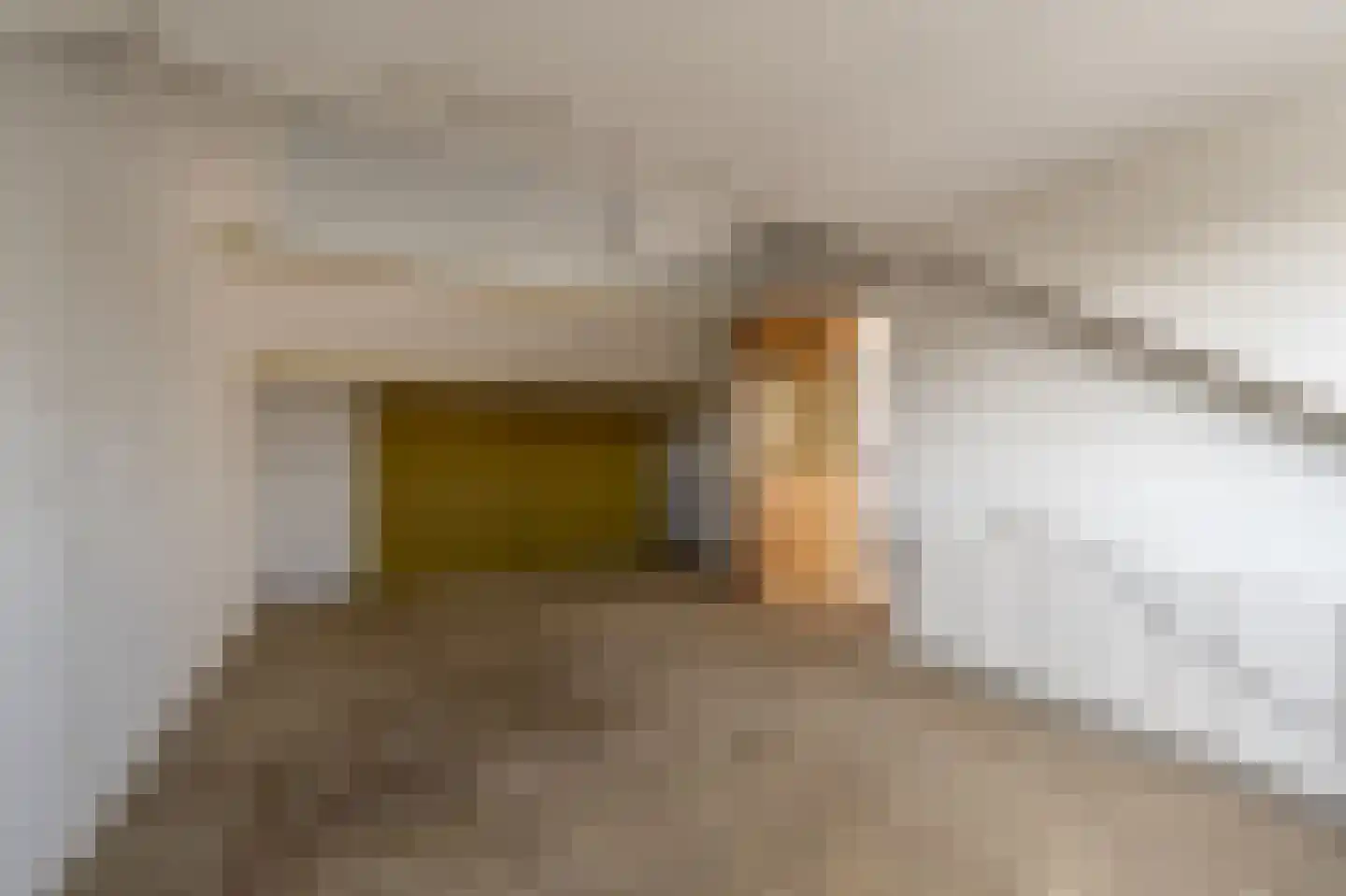 van Oldenbarneveltstraat 24 Zuid-Beijerland thumbnail 32