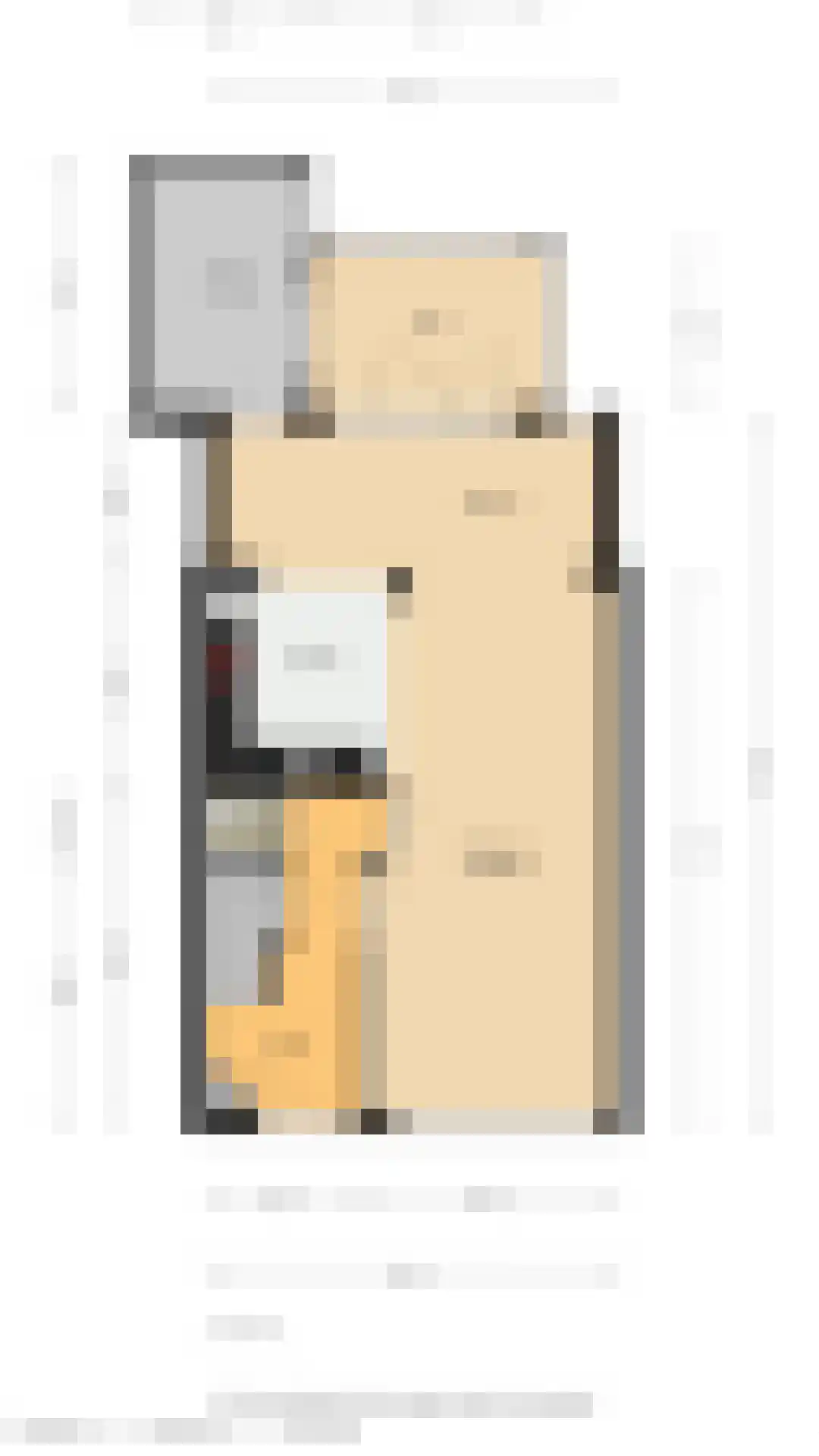 van Oldenbarneveltstraat 24 Zuid-Beijerland thumbnail 35