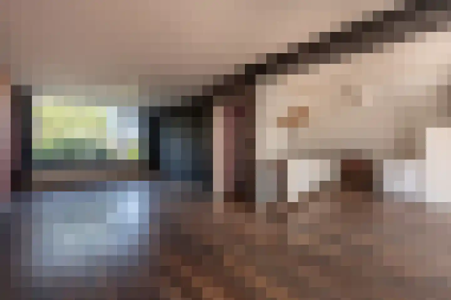 van Oldenbarneveltstraat 24 Zuid-Beijerland thumbnail 6