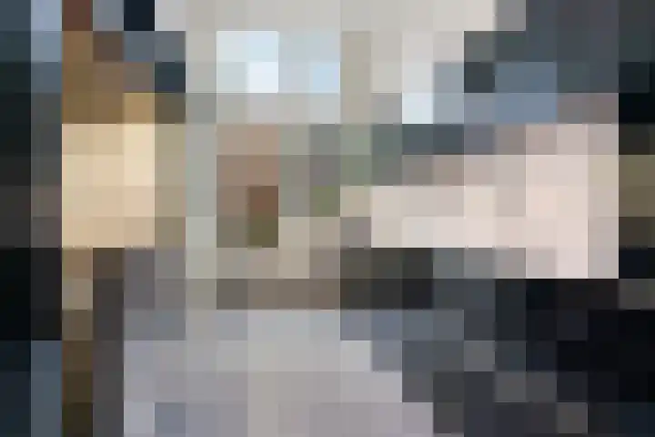 van Oldenbarneveltstraat 29 Nijmegen thumbnail 14