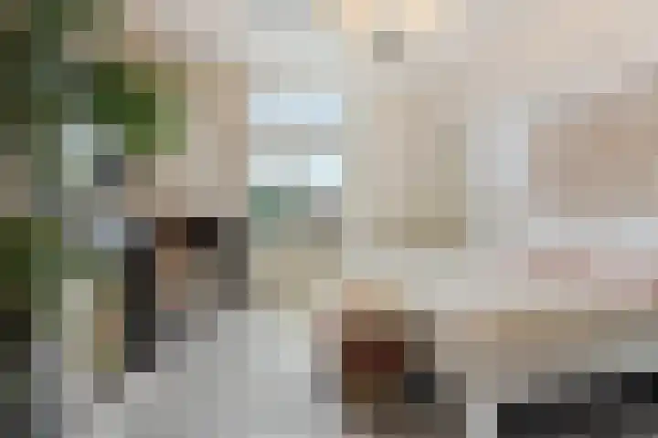 van Oldenbarneveltstraat 29 Nijmegen thumbnail 22