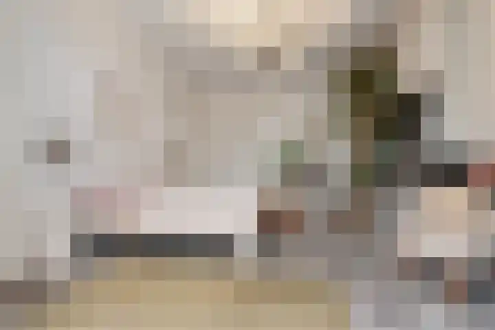 van Oldenbarneveltstraat 29 Nijmegen thumbnail 23