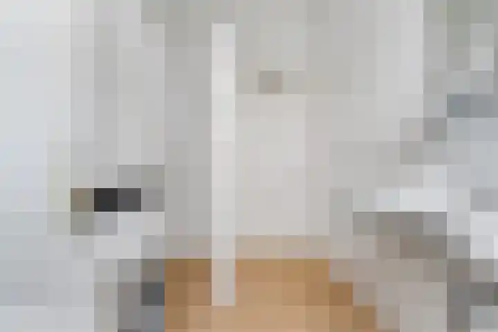 van Oldenbarneveltstraat 29 Nijmegen thumbnail 37