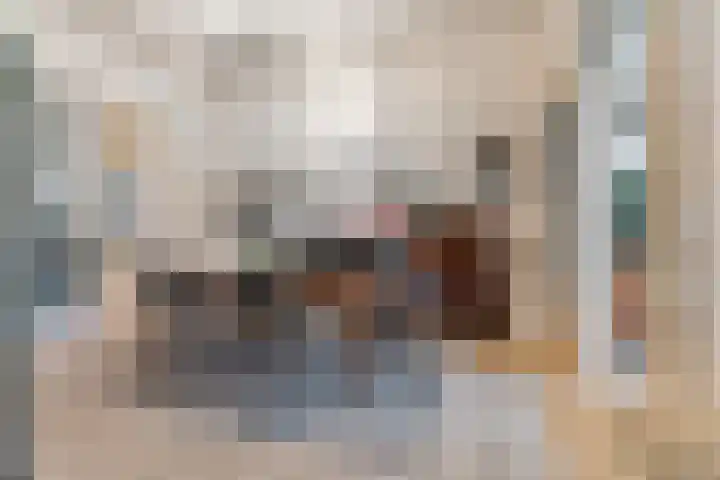 van Oldenbarneveltstraat 29 Nijmegen thumbnail 4