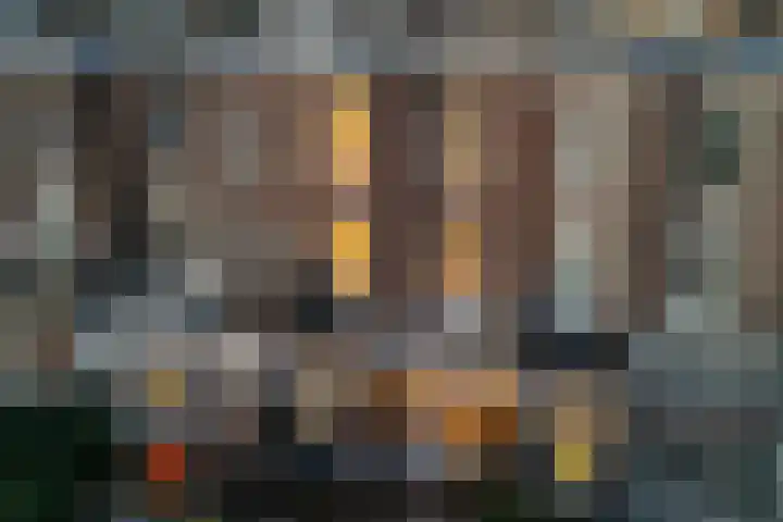 van Oldenbarneveltstraat 29 Nijmegen thumbnail 52