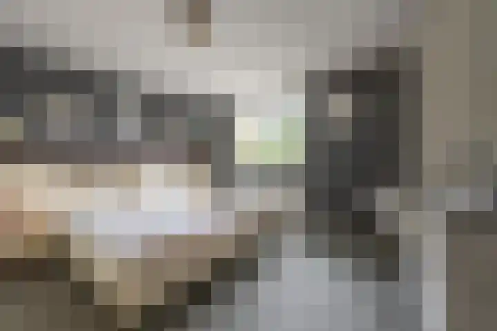 Van Oldenbarneveltstraat 3 Nijkerk thumbnail 24