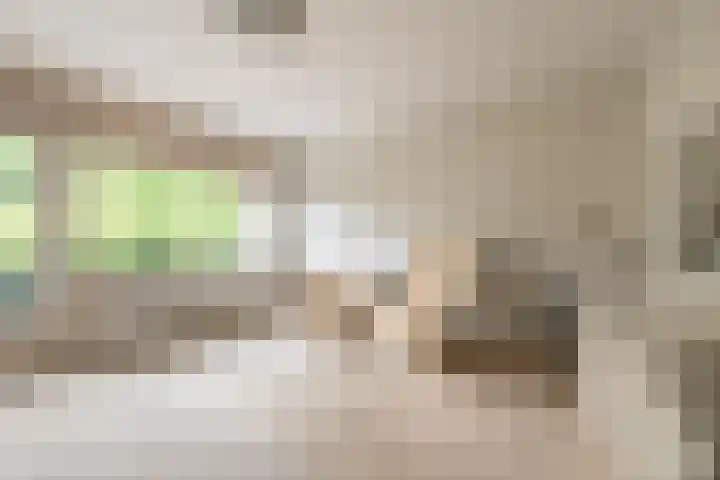 Van Oldenbarneveltstraat 3 Nijkerk thumbnail 29