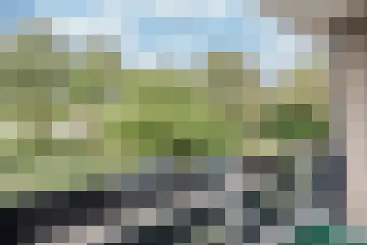 Van Oldenbarneveltstraat 3 Nijkerk thumbnail 30