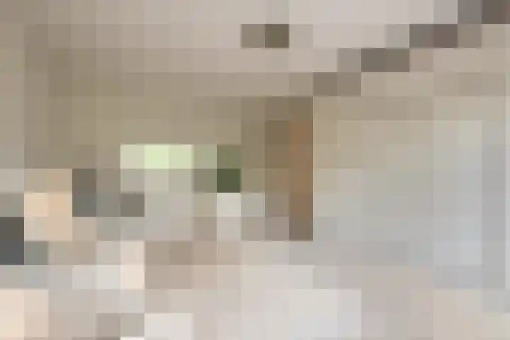 Van Oldenbarneveltstraat 3 Nijkerk thumbnail 31