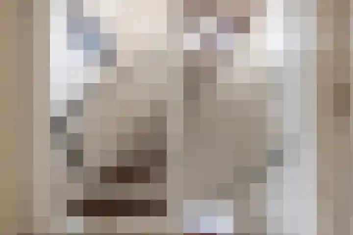 Van Oldenbarneveltstraat 3 Nijkerk thumbnail 34