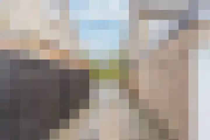 Van Oldenbarneveltstraat 3 Nijkerk thumbnail 47