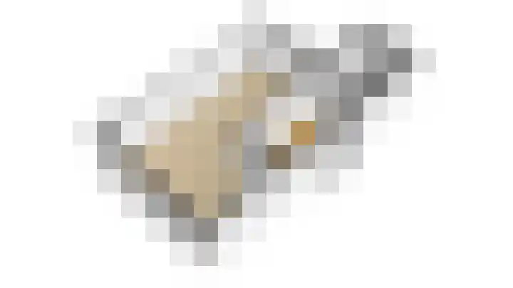 Van Oldenbarneveltstraat 3 Nijkerk thumbnail 51